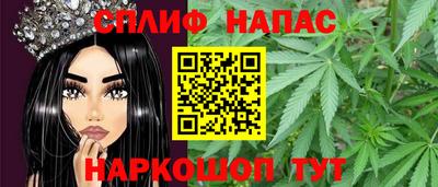 стафф Гатчина