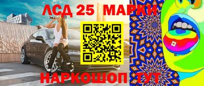стафф Гатчина