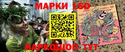 стафф Гатчина