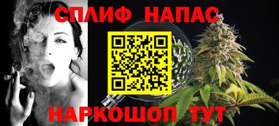 МДПВ Гагарин
