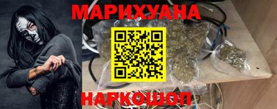 стафф Гатчина