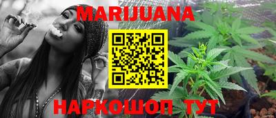 стафф Гатчина