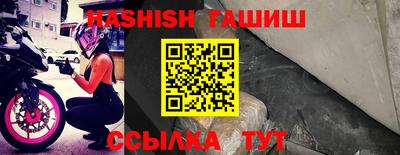 стафф Гатчина
