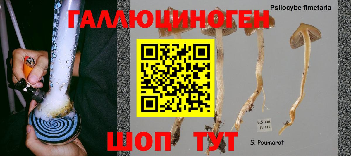 APVP Лыткарино